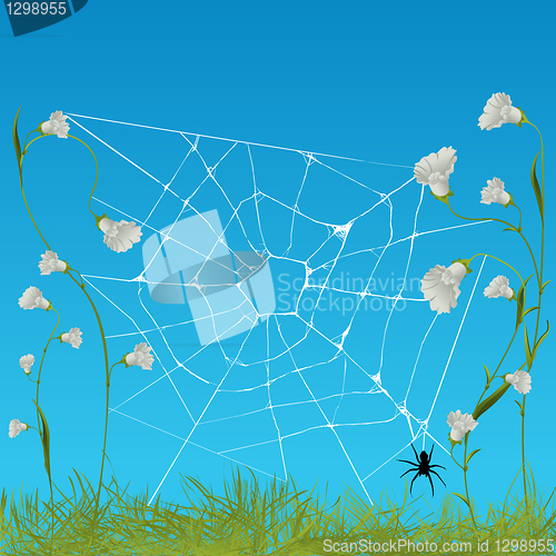 Image of Web spider