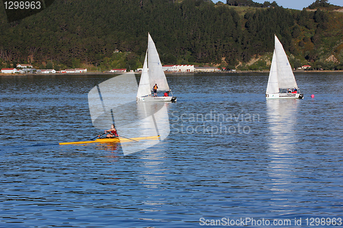 Image of Wellington harbour