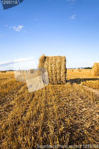Image of Straw stack