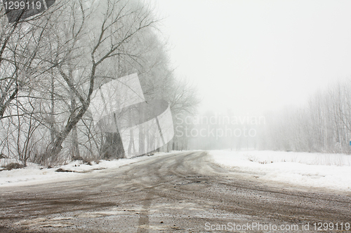 Image of Winter road