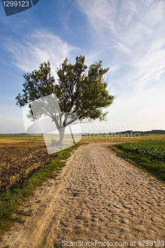 Image of Old road