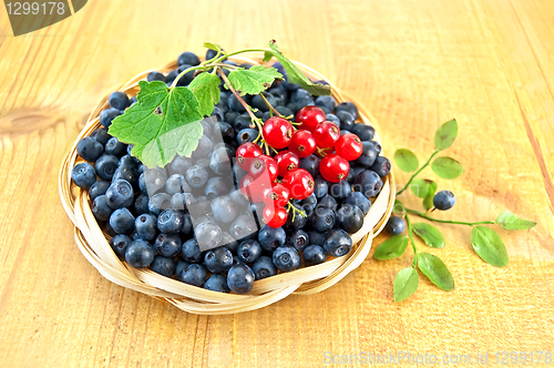 Image of Blueberries with sprigs of red currants on the board