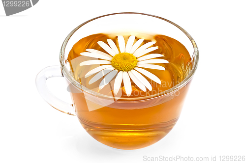 Image of Herbal tea in a glass cup with camomile