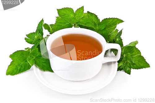 Image of Herbal tea in a white cup with mint