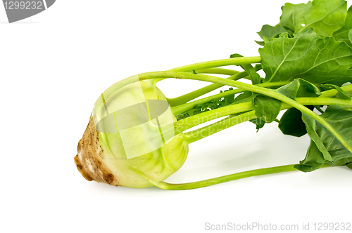 Image of Kohlrabi