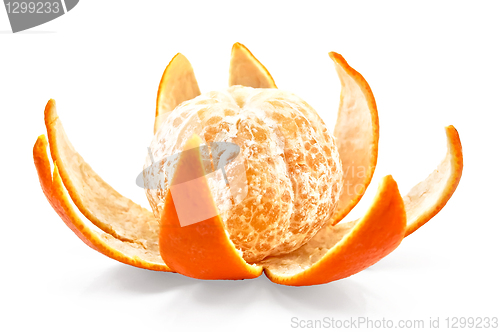 Image of Mandarin on the peel by purified