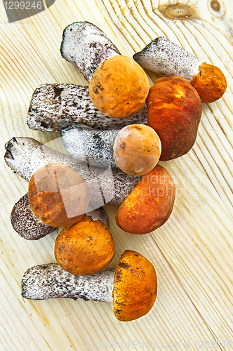 Image of Mushrooms on a wooden board