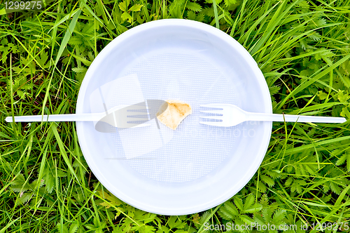 Image of One chips on a white plate with forks