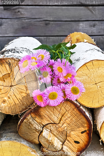 Image of Pink flowers on wood