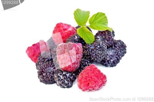 Image of Raspberries and blackberries with a sheet
