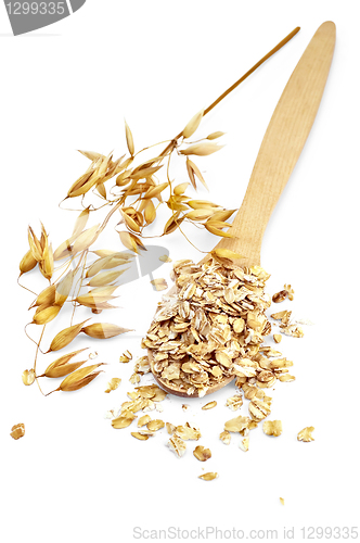 Image of Rolled oats in a spoon