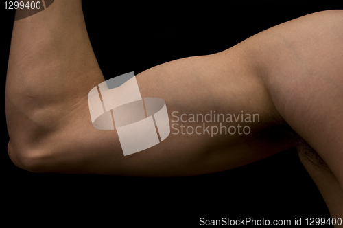 Image of Muscular arm