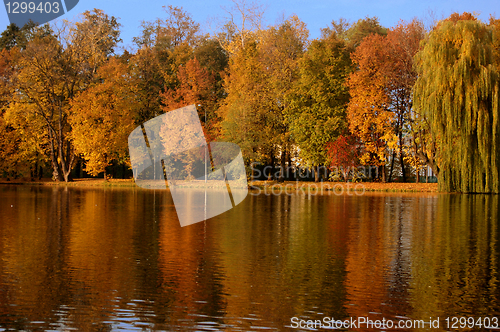 Image of Autumn scene