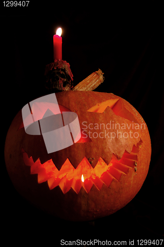 Image of Halloween pumpkin