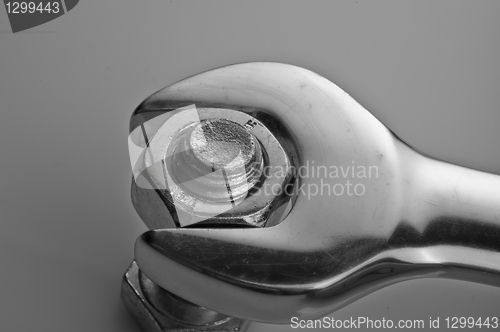 Image of Tough Nut