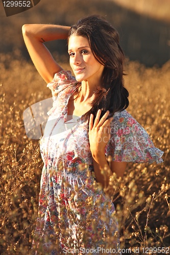 Image of Beautiful Woman on a Field in Summertime 