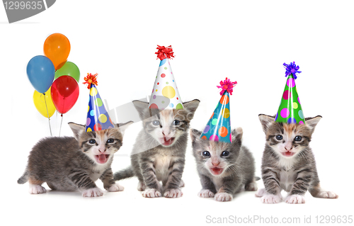 Image of Birthday Song Singing Kittens on White Background