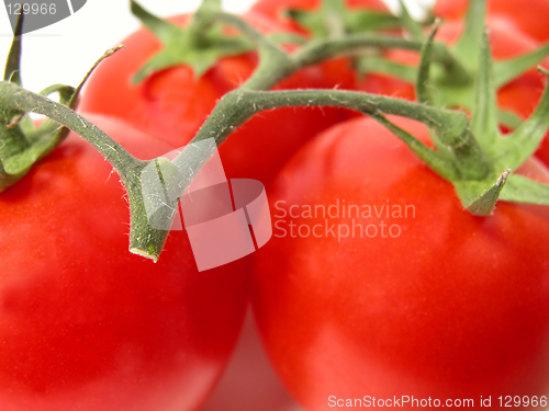 Image of Tomatoes temptation 2