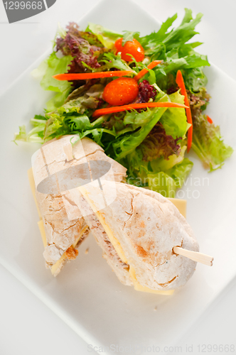 Image of tuna and cheese sandwich with salad