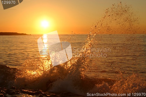 Image of Morning Splash