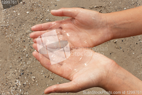 Image of Jellyfish in hands