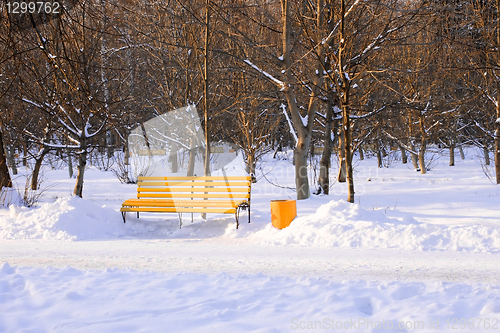 Image of Bench in winter park