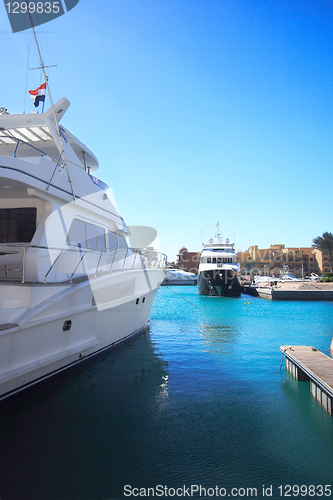 Image of Luxury yachts