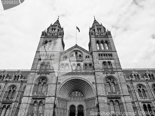 Image of Natural History Museum, London, UK