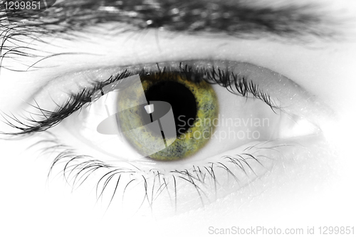 Image of mans eyes.