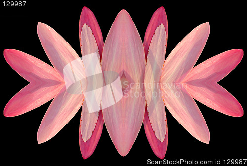 Image of Petal power