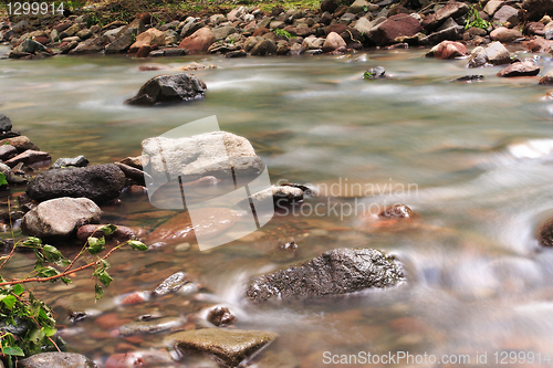 Image of Water on the rocks into the forest