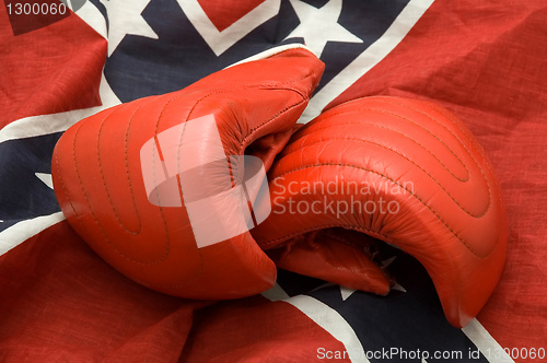 Image of Rebel boxing