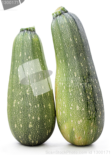 Image of Vegetable Marrows