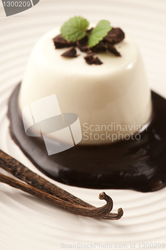 Image of Panna Cotta with chocolate and vanilla beans