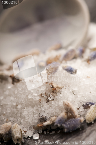 Image of Lavender Sugar