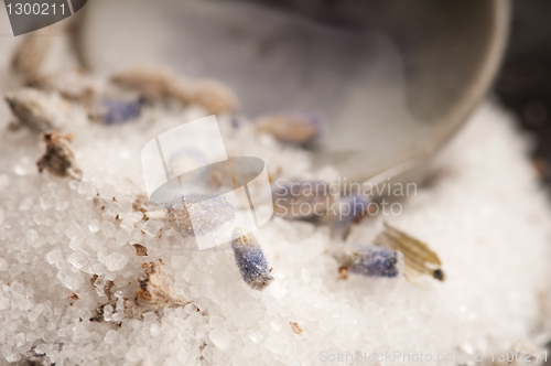 Image of Lavender Sugar