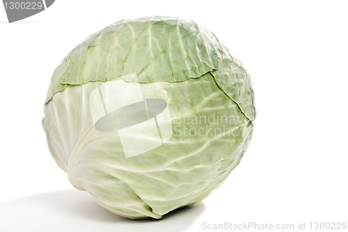 Image of Cabbage