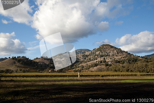 Image of Wine Country