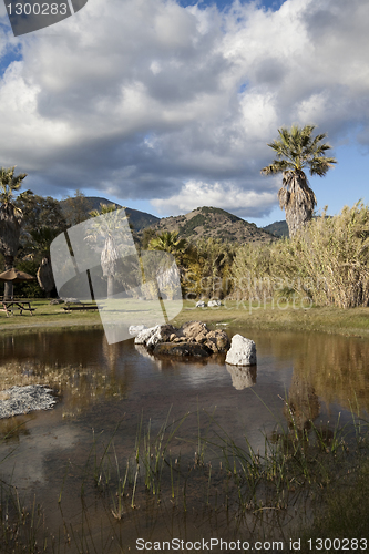 Image of Pond