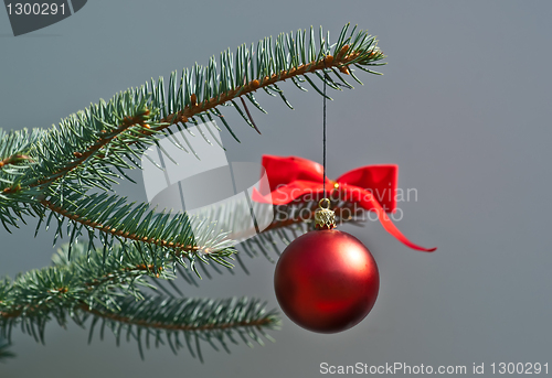 Image of Christmas tree