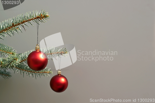 Image of Christmas tree