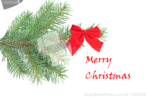 Image of Christmas tree