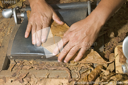 Image of hand rolling cigar production