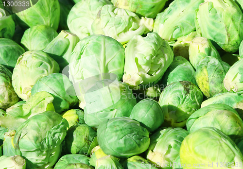 Image of Brussel sprouts 