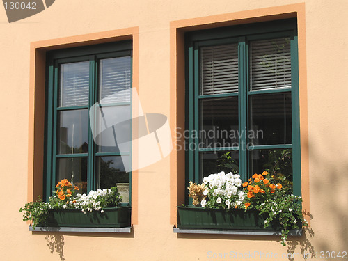 Image of flower windows