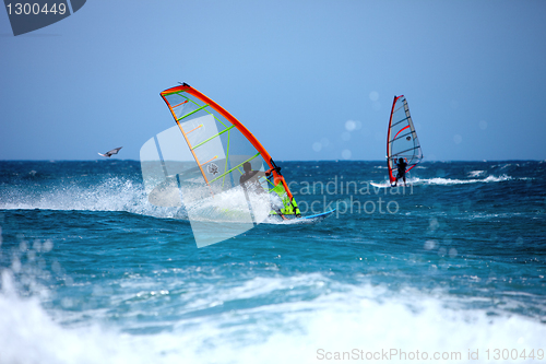 Image of Wind surfing in the summer 