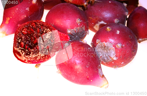 Image of Prickly pear cactus red fruits  Opuntia ficus-indica 