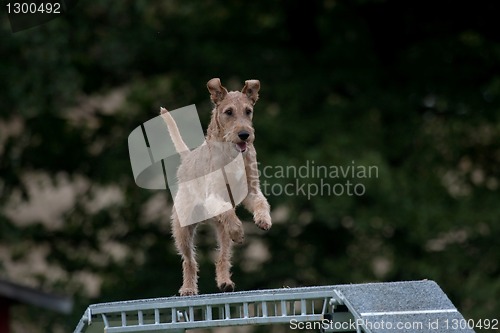 Image of Agility