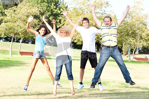 Image of Family jumping high in the air on a green meadow