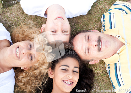 Image of Happy family of four on grass